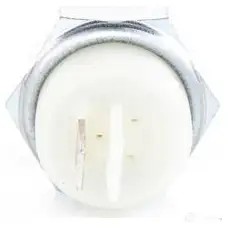 Датчик давления масла BOSCH A9SS89 X 1423141729 0986345203 3165142252940