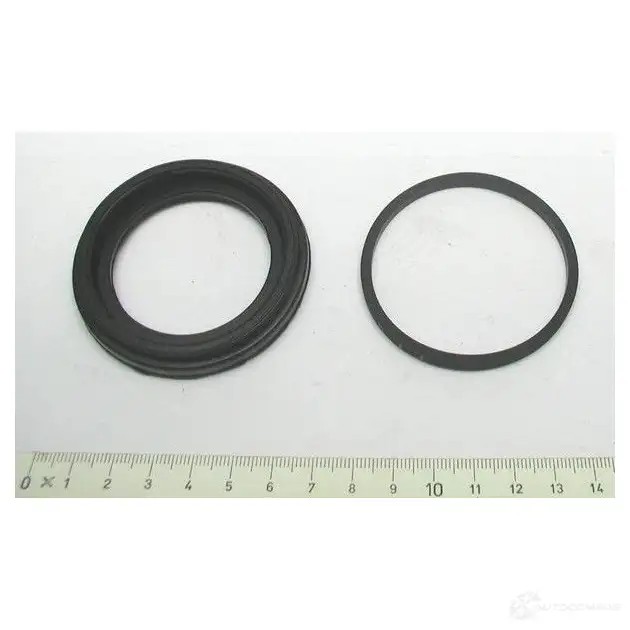 Ремкомплект суппорта BOSCH RG6 88 0204104194 RMGIN 307017