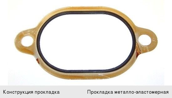 Прокладка КАМАЗ-5490 MERCEDES насоса водяного ELRING