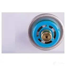 Регулятор давления топлива BOSCH DR4.1 2,7 BAR 0280160585 DR 4.1 2,7 bar 318218